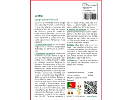SAFLAX Conjunto de cultivo Consuelda 15 semillas Con mini invernadero, sustrato de cultivo y 2 macetas Symphytum officinale