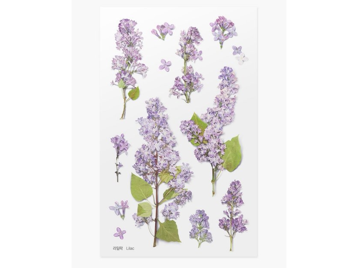 Pegatinas decorativas con diseño de flor de lila Appree