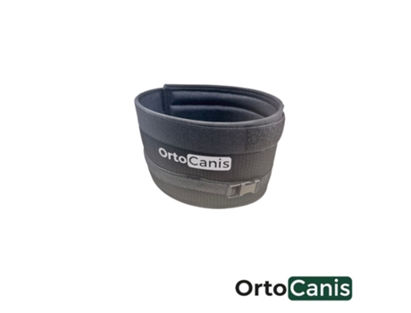 Collar inmobvilizador para Perro ORTOCANIS