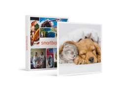 Caja Regalo SMARTBOX ¡Escapada con mascotas! 1 noche para 2 adultos y 1 animal de compañía