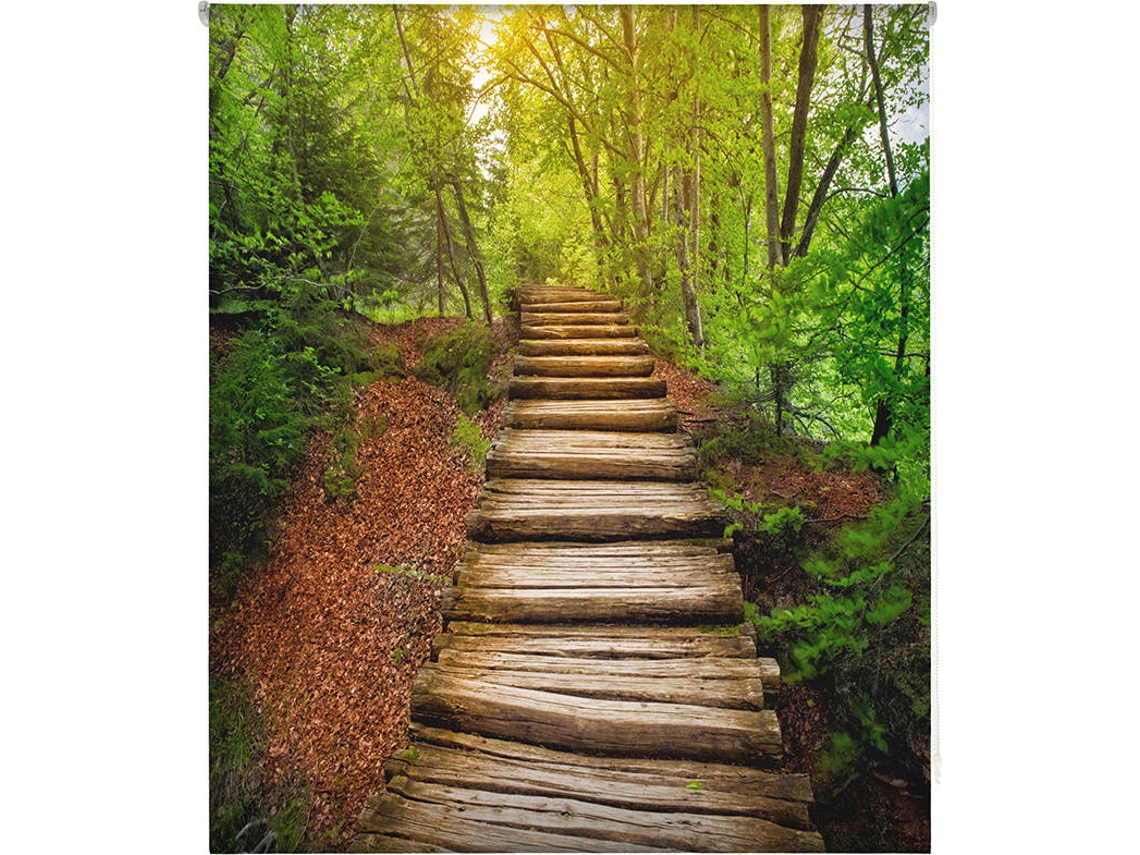 Estor Enrollable HAPPYSTOR Estampado Digital Paisajes HSCP6224 145x250 cm