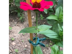 Soporte para plantas de jardín Vayotoy con clips