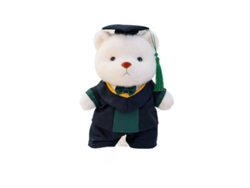Oso de peluche de graduación con toga, recuerdo de un compañero de clase, oso marrón y traje rojo, CHABERLU