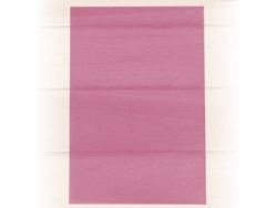 Papel Vegetal SCHOELLERSHAMMER 1837682 (A4 - Rosa - 10 Hojas)