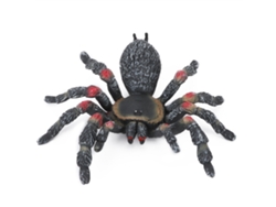 Ats-modelo De Insecto Simulado Adorno De Escritorio Juguete De Halloween Para Niños Niñas Pl127-845