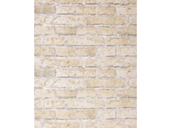 583-20 Papel Pintado Bajo la Piedra Beige EDEM