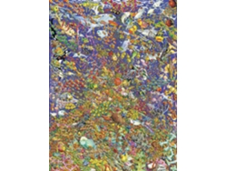 Rompecabezas de animales de Ravensburger Shoal con 1500 piezas
