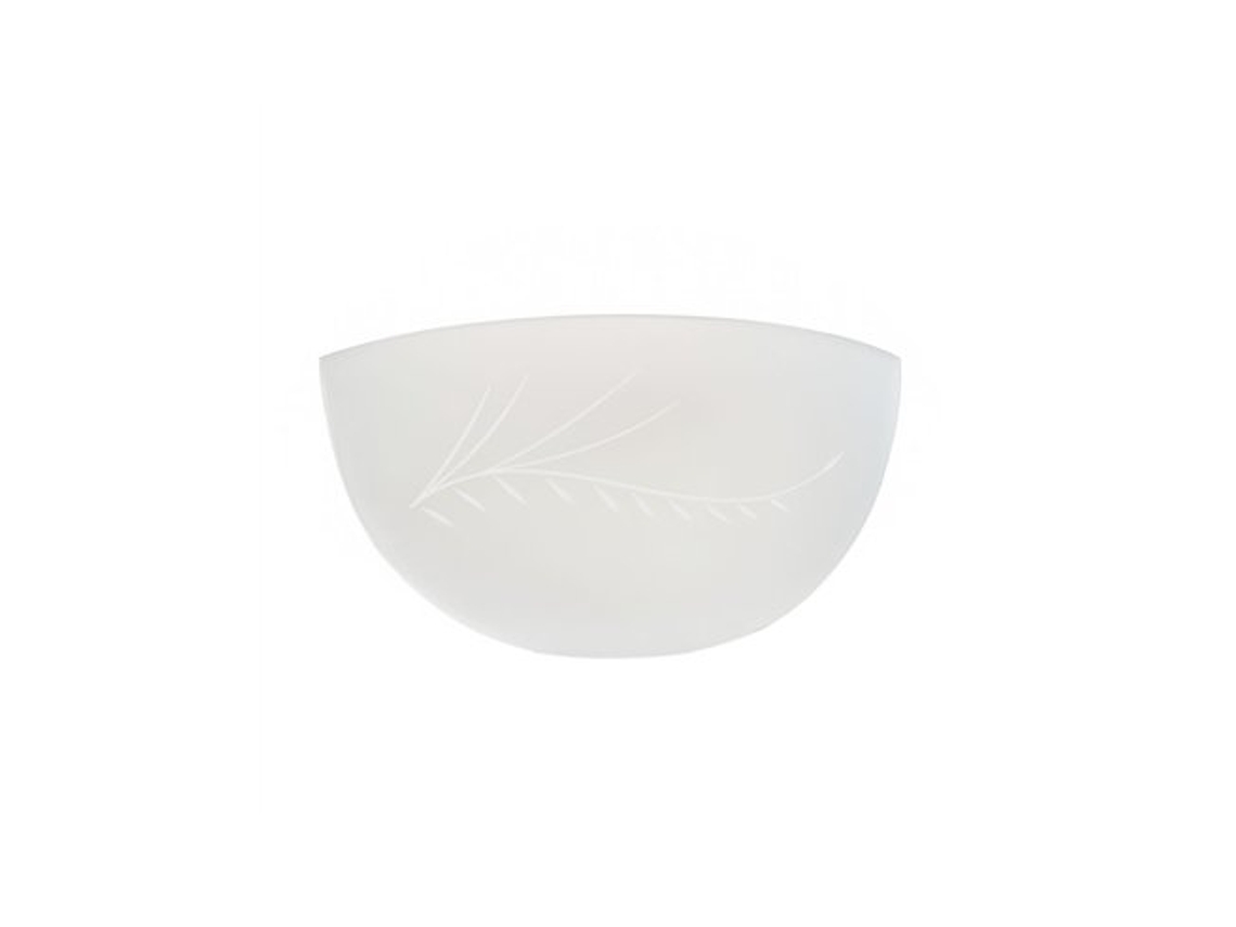 Ramas Curvas Media Luna Vidrio Esmerilado 25cm Ltd