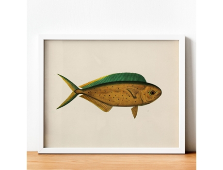 Póster NACNIC de Pez Marron Verde y Amarillo en , Fondo Papel Vintage.