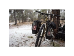 Estante frontal BLACKBURN Outpost