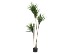 Planta Artificial Beliani Dracaena Draco De Material Sintético Verde 50x50x165