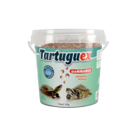 Tortugas y Reptiles