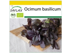 SAFLAX Conjunto de cultivo Ecológico Albahaca Roja 400 semillas Con mini invernadero, sustrato de cultivo y 2 macetas Ocimum basilicum