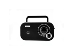 Radio Portátil CAMRY (Negro)