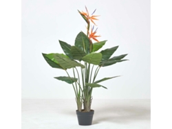 Planta ave del paraíso en maceta de Homescapes, 120 cm de altura