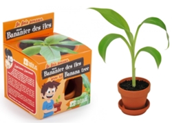 Jogo de Mesa RADIS ET CAPUCINE I Grow My Banana Tree (4 Anos)