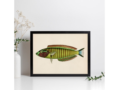 Póster NACNIC de Pez Verde Amarillo Azul y Marron en , Fondo Papel Vintage.