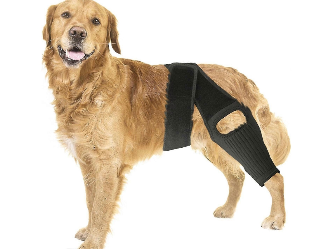 Férula de rodilla para perros con rotura del ligamento cruzado, soporte fuerte para aliviar el dolor articular y muscular en las patas traseras L