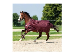 Manta para caballos de exterior Kavalkade Alaska IV 300 g