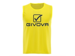 Casulla GIVOVA pro