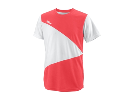 Sudadera con Capucha Unisex CHAMPION Authentic Classic Big (L)