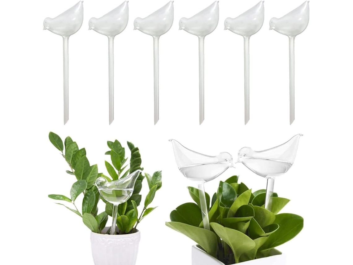 6 bolas de riego, bombillas de vidrio con autorriego, para plantas en maceta de interior/exterior, pájaro de vidrio transparente
