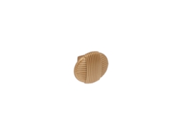 Pomo Para Muebles De Zamac Diámetro 31mm Dorado Milán Lote De 6