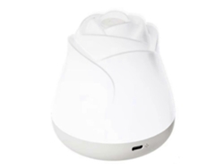 Luz nocturna con forma de flor para niñas, con intensidad regulable, ideal para dormitorios infantiles, de bajo consumo. Rosewell