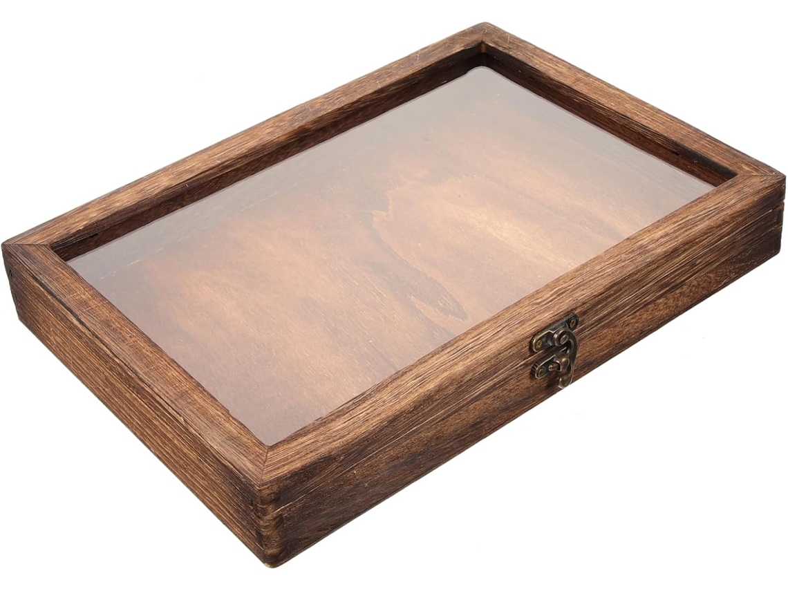 Caja Para Especímenes Con Tapa Transparente, Vitrina Retro Para Insectos Y Flores Secas.