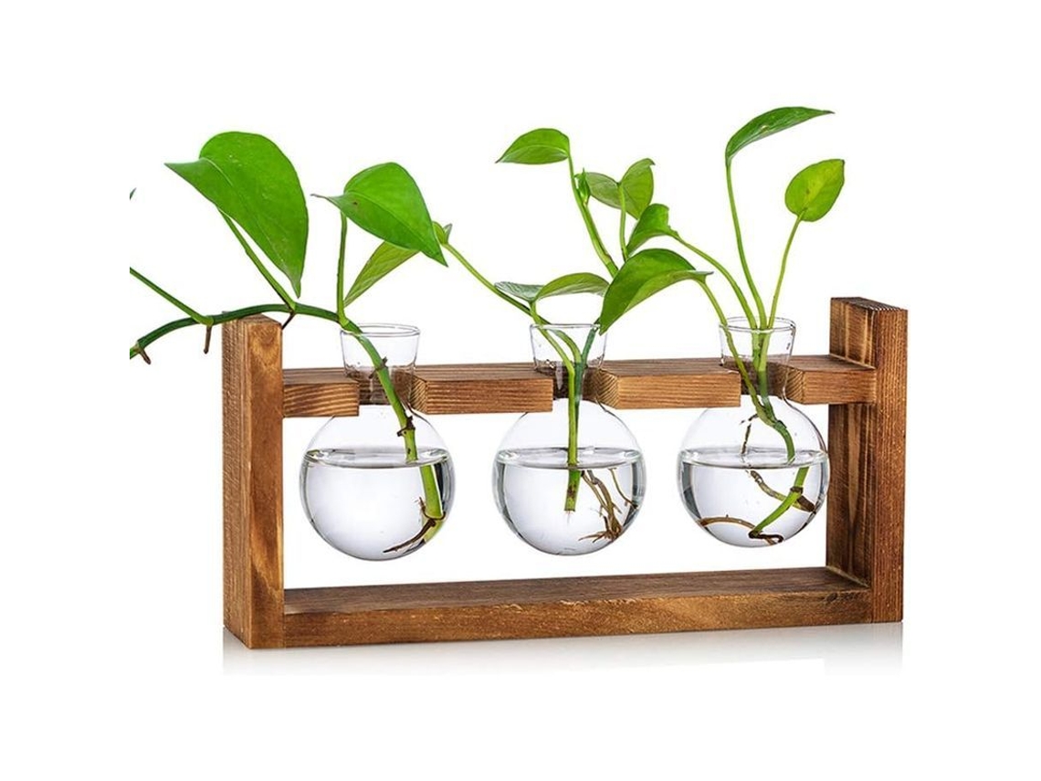 2026-vasos De Vidrio Para Plantas Con Base De Madera Terrario Esférico Para Hogar Oficina Jardín 3 Unidades