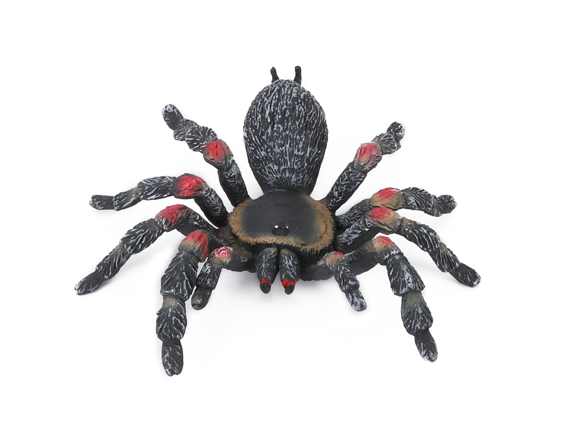 Ats-modelo De Insecto Simulado Adorno De Escritorio Juguete De Halloween Para Niños Niñas Pl127-845