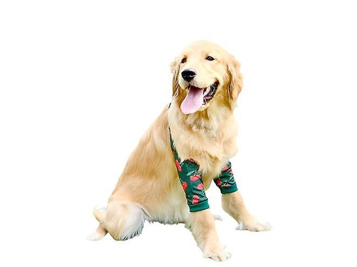 2026-protector De Codo Para Perros Medianos Y Grandes Rodilleras Anti-desgaste Ropa De Mascota Protección Articular