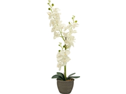 Planta Artificial EUROPALMS Orchid (Blanco - 80 cm)