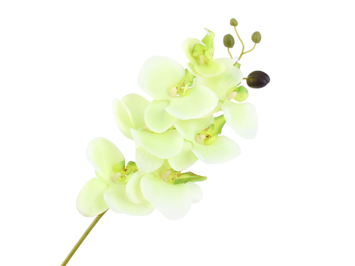 VYLARA Orquídea borboleta artificial Phalaenopsis, 6 cores, para decoração de casa, casamento e festa.