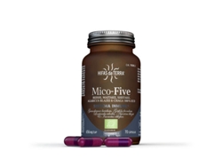 Hifas da Terra Mico-Five 70's