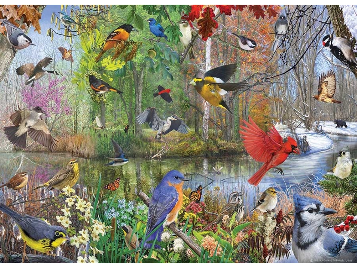 Rompecabezas de 1000 piezas de Cobble Hill: Paisaje con pájaros