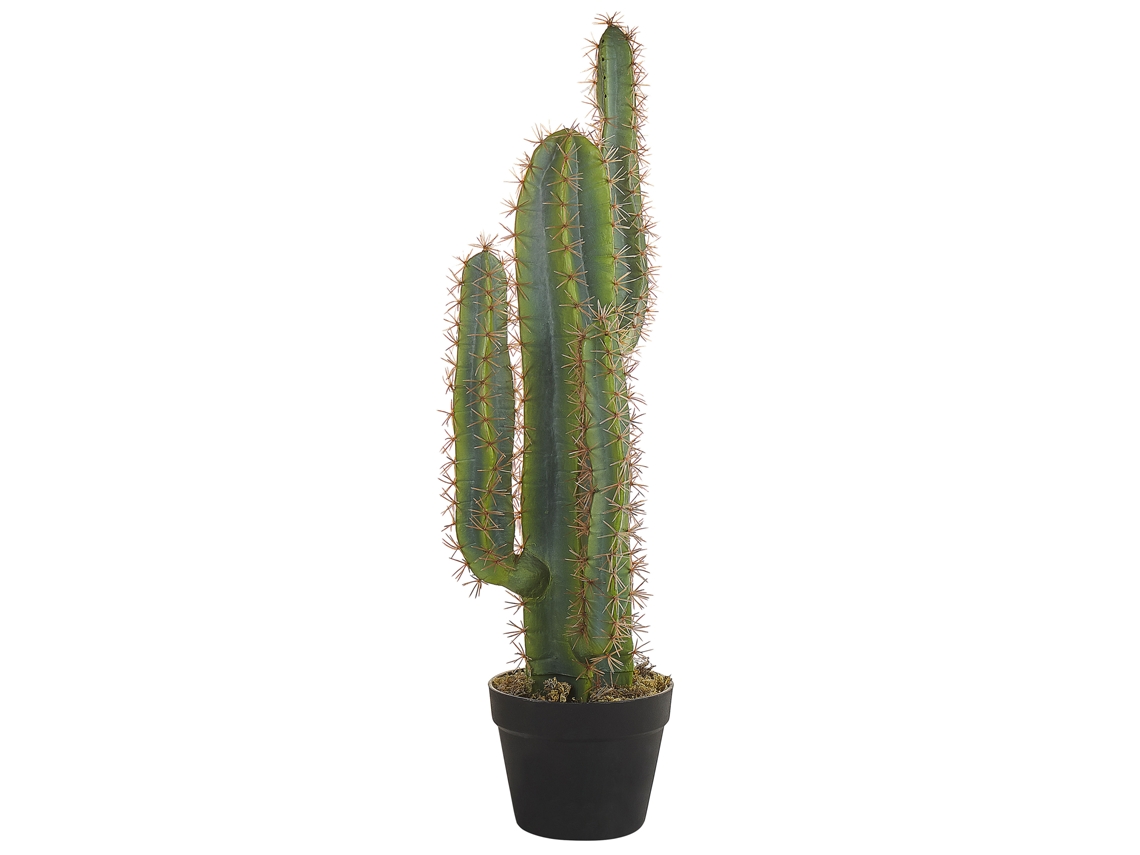 Planta artificial BELIANI Cactus de Material sintético Verde 13x13x78