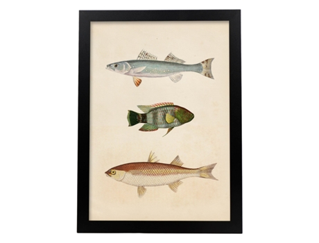 Póster NACNIC de Tres Peces Azul, Verde Marroon y Beige en , Fondo Papel Vintage.