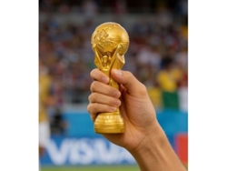 Trofeo De Copa Mundial De 19,5x6,5 Cm