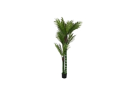 Palmeira Verde em Cimento, 100x100x235cm ALEXANDRA HOUSE LIVING
