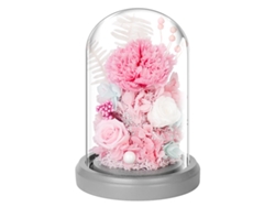 Decoración de clavel eterno con flores secas en cúpula de cristal con base iluminada, regalo de fiesta de cumpleaños JEIIBRZUI