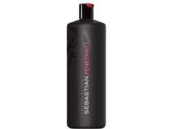 Champú Penetraitt 1000 Ml