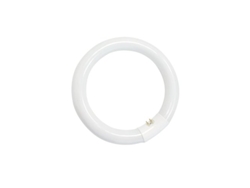 Tubo fluorescente circular T9 de 32 W, 6400 K, GSC 2000590