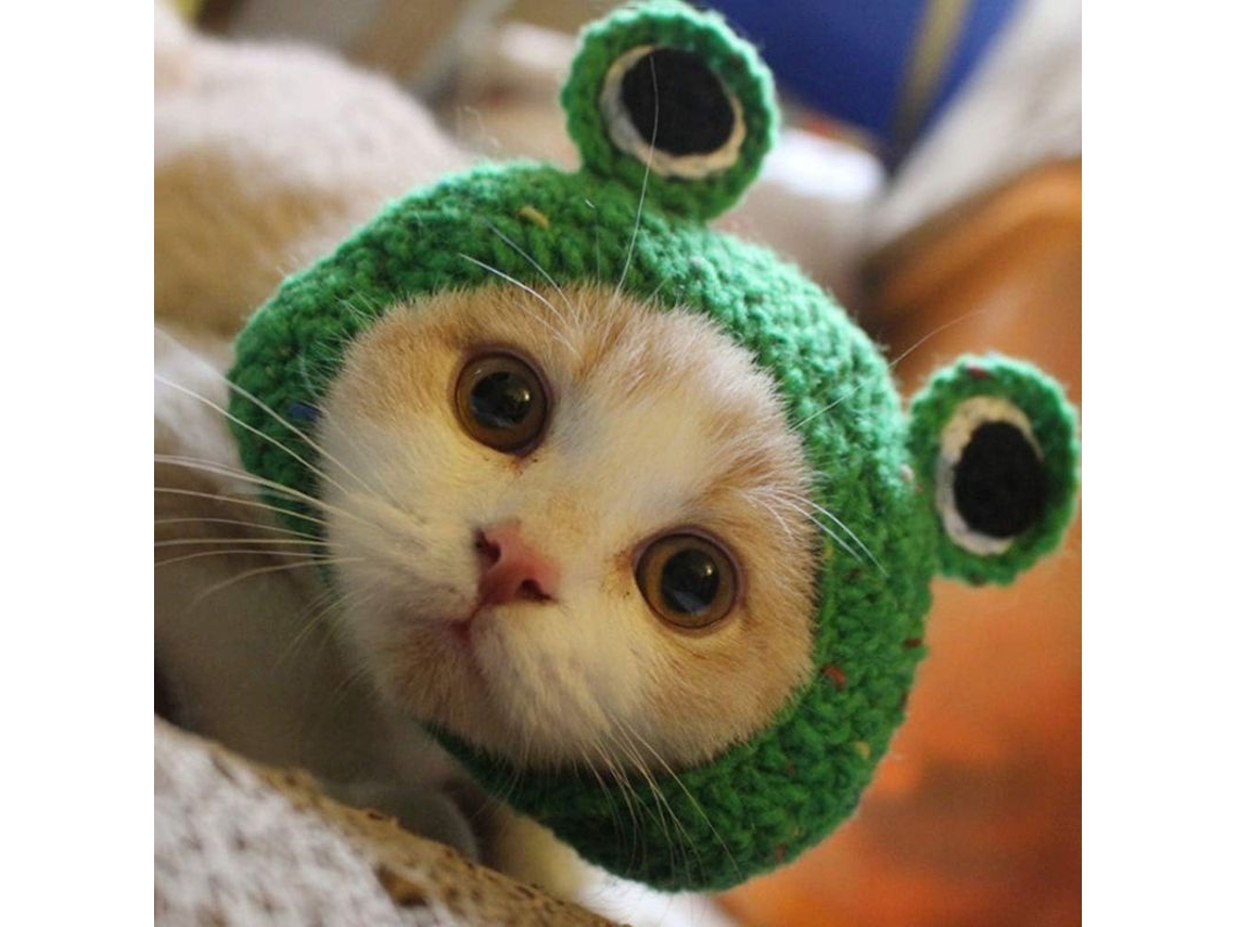 Adorable Gorro De Rana Hecho A Mano Para Mascotas, Acogedora Decoración Navideña/de Halloween.