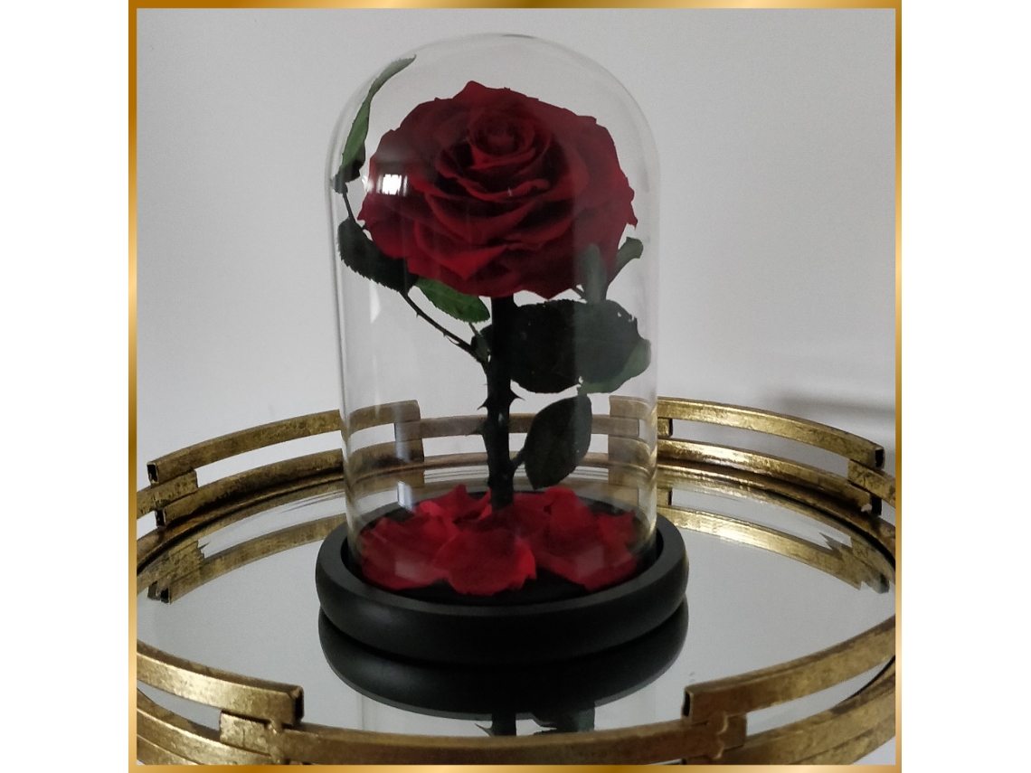 1 Rosa Natural Preservada La Bella y la Bestia Roja LOVE FLOWERS-MOMENTOS FELIZES en Cúpula de Cristal - Colección Beauty & Beast Rose Rose