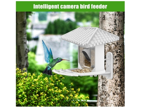 Cámara inteligente para comedero de pájaros, grabación automática de vídeo de 4 MP, cámara IP66 para pájaros con almacenamiento gratuito en la nube...