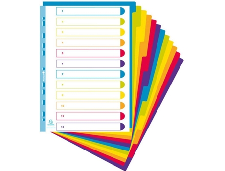 Exacompta 3812e Plastic slip maxi neutral 12 botones translúcidos separador a4+ polipropileno