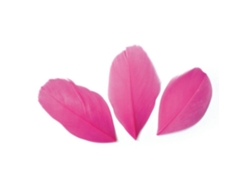 50 plumas cortadas de 60 mm - Fucsia