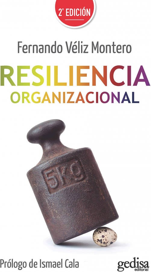 Organizacional Tapa Blanda libro de fernando montero español