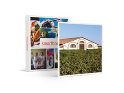 Caja Regalo SMARTBOX Bodegas Fariña: visita guiada, museo vino-arte y cata de vinos